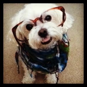 Meet your Posher, Danielle